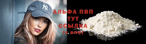 амф Магадан
