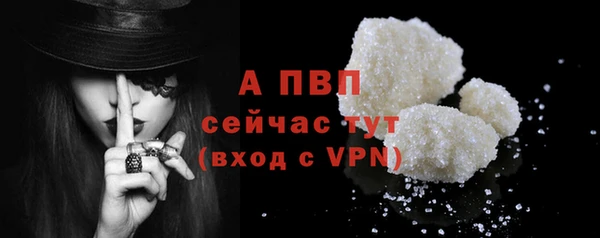 дмт Магас