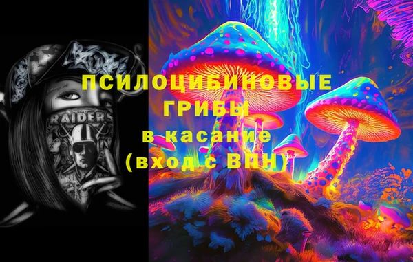 мяу мяу мука Майский