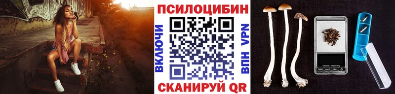 Псилоцибиновые грибы Cubensis  Томск 