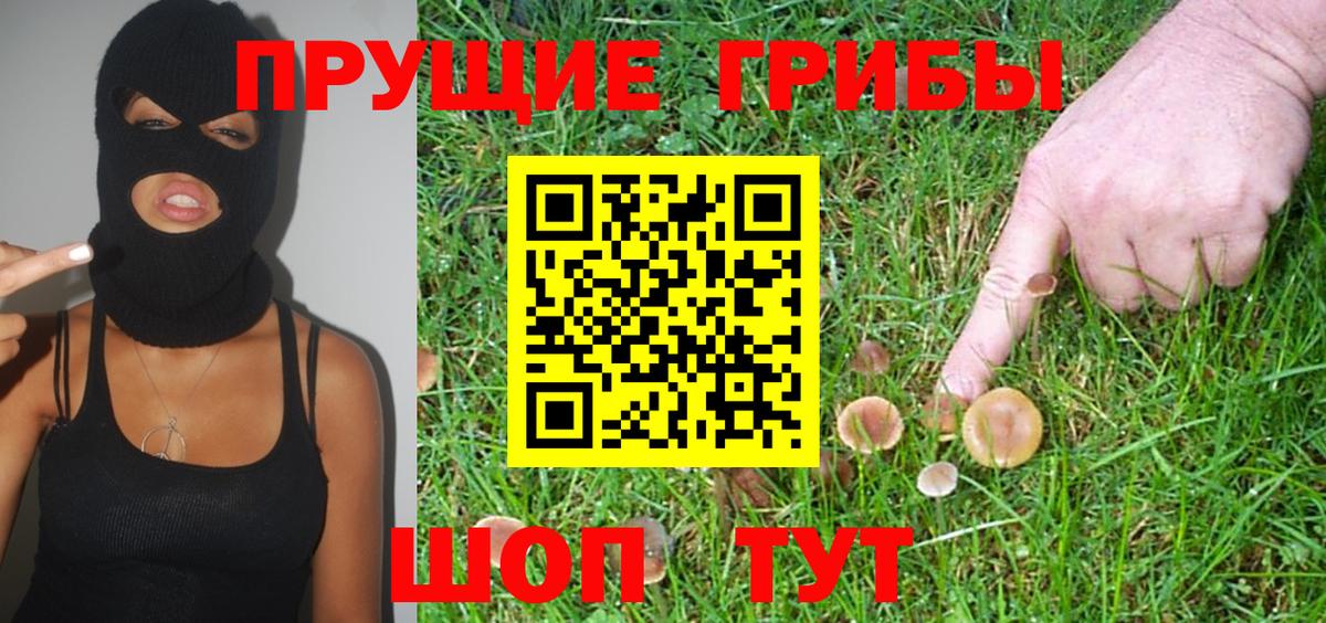 Галлюциногенные грибы Magic Shrooms  Вход с VPN  Томск  закладки  Псилоцибиновые грибы Psilocybe 